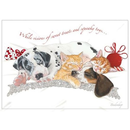 Pipsqueak Productions Pipsqueak Productions C534 Mix Dog With Cat Holiday Boxed Cards C534